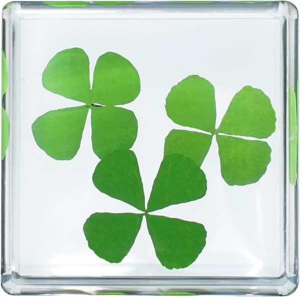 Best 3d Clover Acrylic Paperweight - Good Luck Desk Decor – Image 4