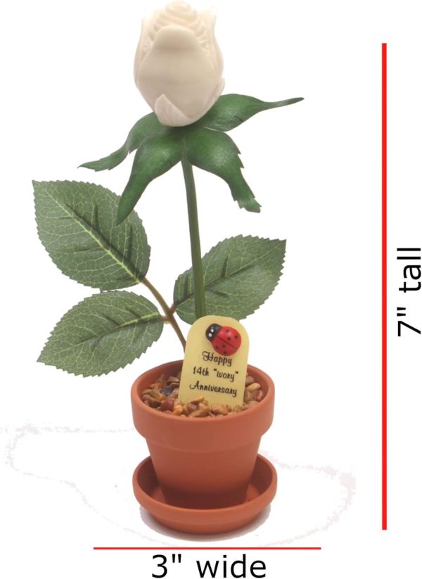 Justpaperroses 14th Anniversary Ivory Rose Gift - 7-inch Potted - 画像 (2)