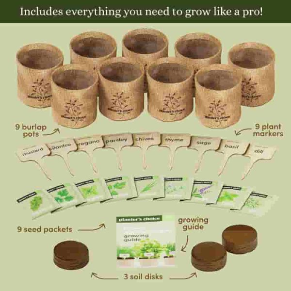 9 Herb Window Garden Kit - Best Indoor Plants Gift For Women & Mom – Image 4