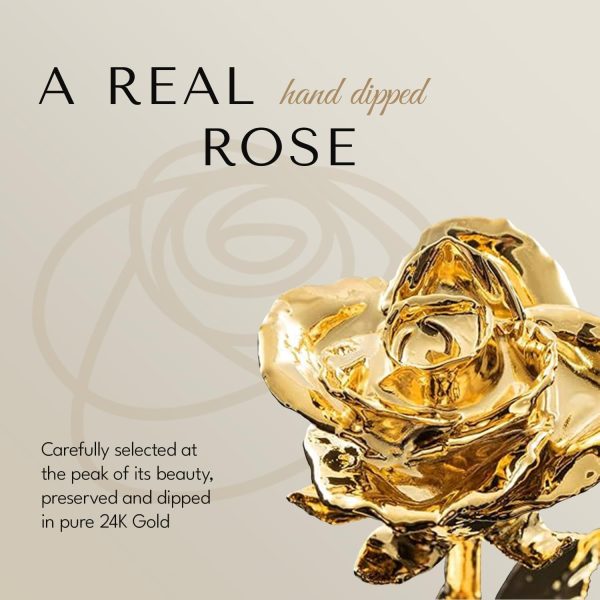 Forever Rose - 24k Gold Dipped Romantic Gift For Women & Men - 画像 (2)
