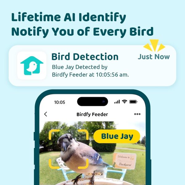 Birdfy Ai Smart Bird Feeder With Camera – Perfect Gift - Image 2