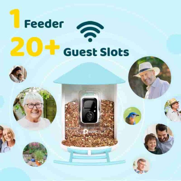 Birdfy Ai Smart Bird Feeder With Camera – Perfect Gift - Image 4
