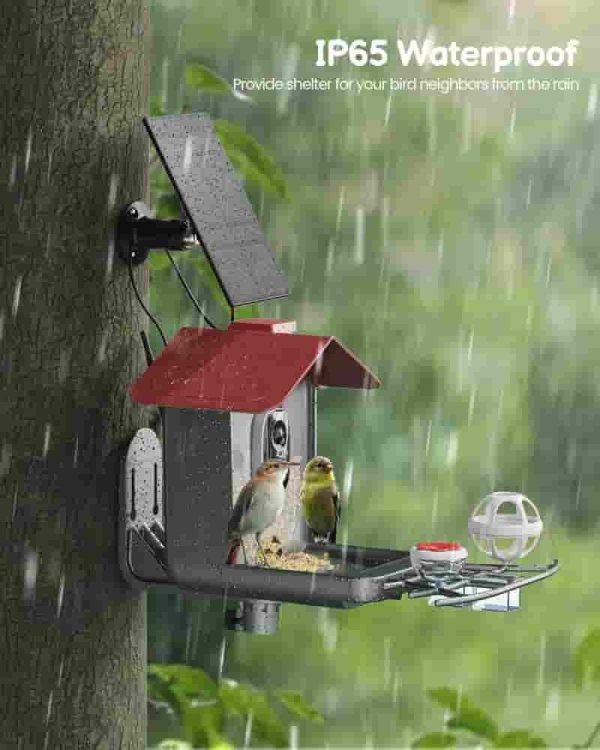 Best Solar Bird Feeder With Camera - 2k Hd For Bird Lovers - Imagen 2
