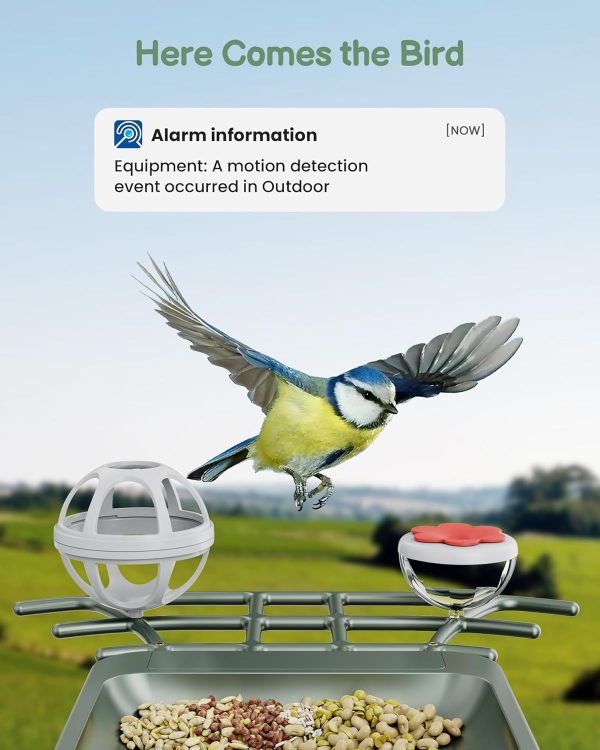 Best Solar Bird Feeder With Camera - 2k Hd For Bird Lovers - Imagen 3