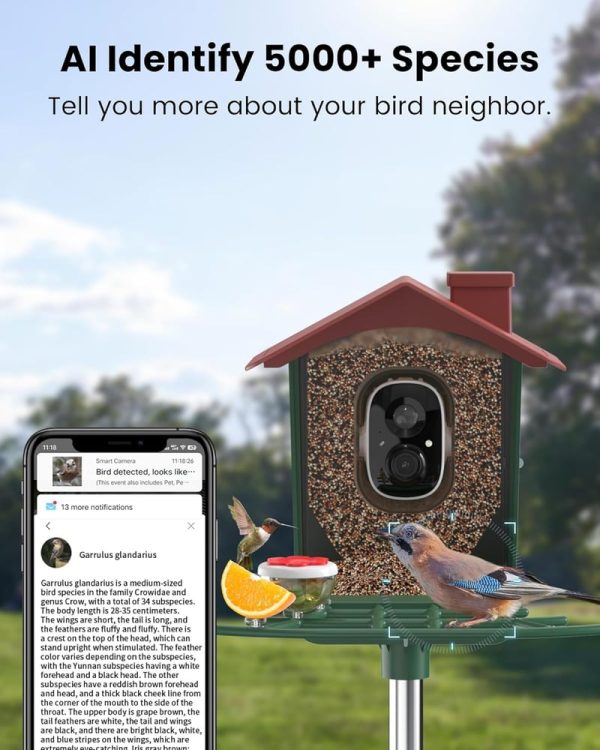 Best Solar Bird Feeder With Camera - 2k Hd For Bird Lovers - Imagen 4