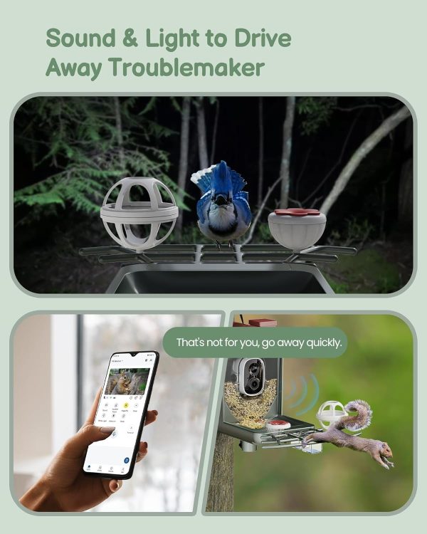 Best Solar Bird Feeder With Camera - 2k Hd For Bird Lovers - Imagen 6