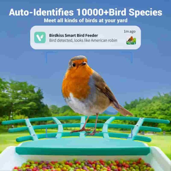 Smart Bird Feeder With 1080p Hd Camera & Solar Panel - Ideal Gift - 画像 (4)