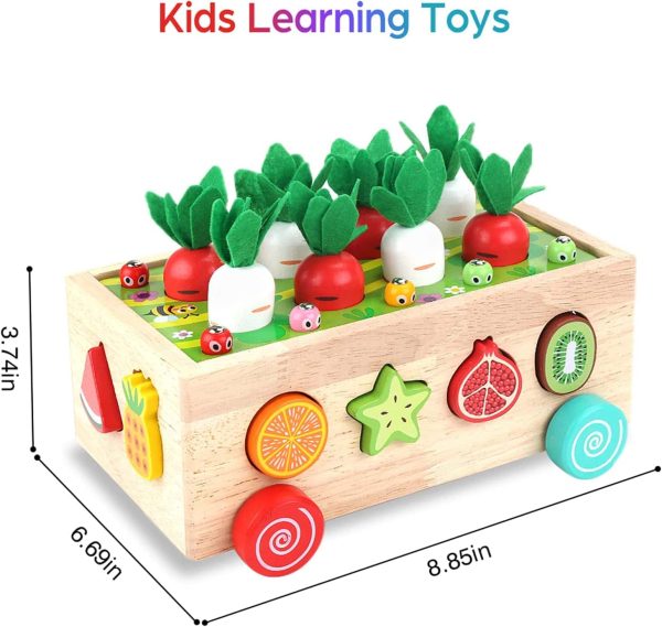 Montessori Wooden Toddlers Toys Shape Sorting Learning - Imagen 3