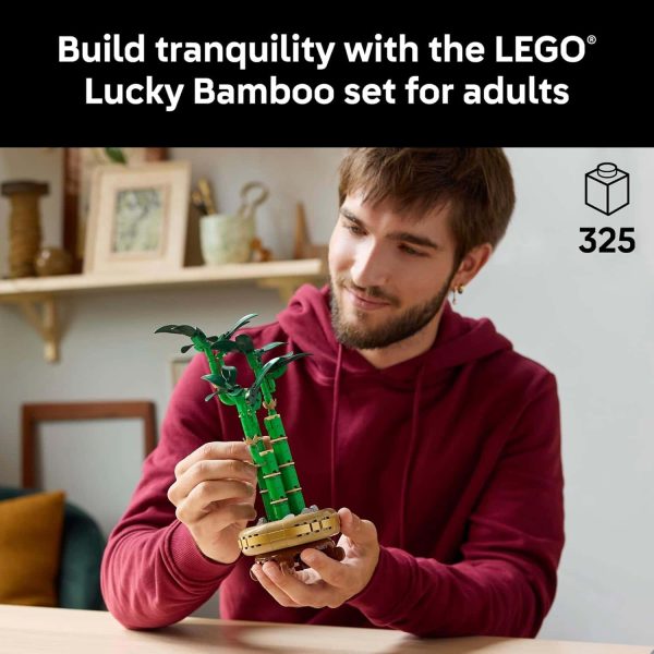 Lego Botanicals Lucky Bamboo Set - Adult Décor Gift - 画像 (2)